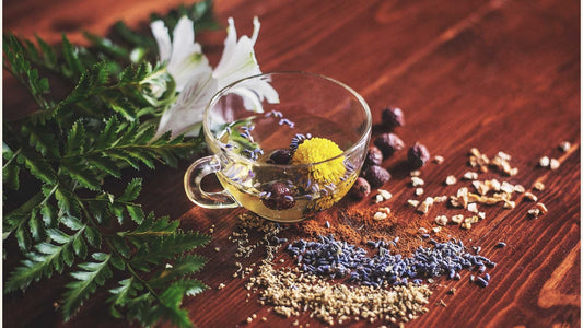 Understanding Ayurvedic Medicine: A Journey into Holistic Healing